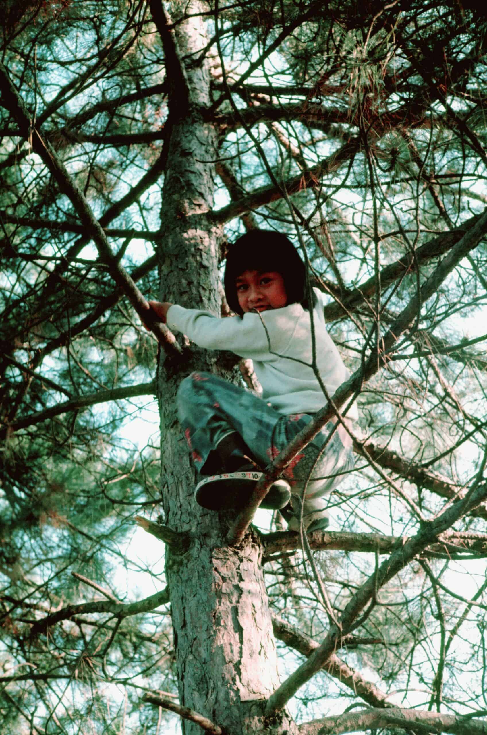 Me climbing a tree